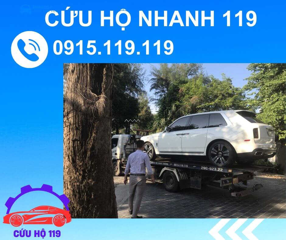 Tong dai cuu ho nhanh 119