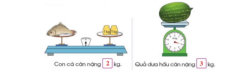 1 tấn bằng bao nhiêu kg