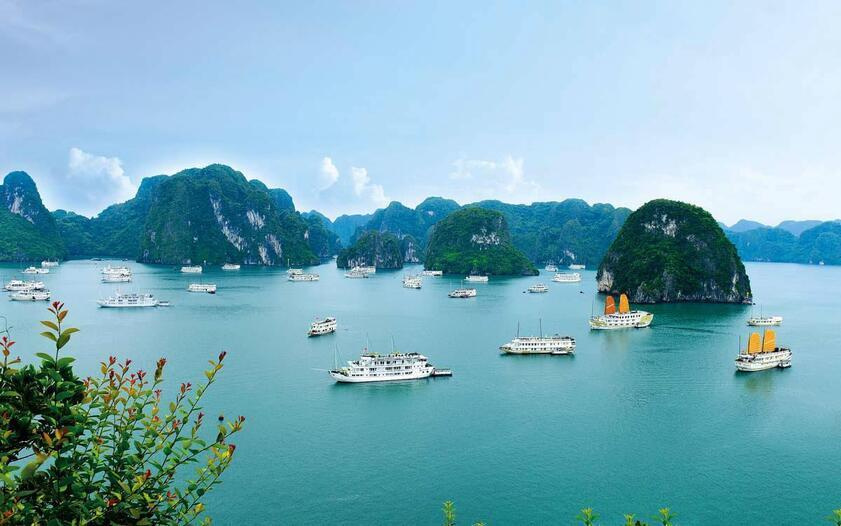 Việt Nam có đường bờ biển dài bao nhiêu km